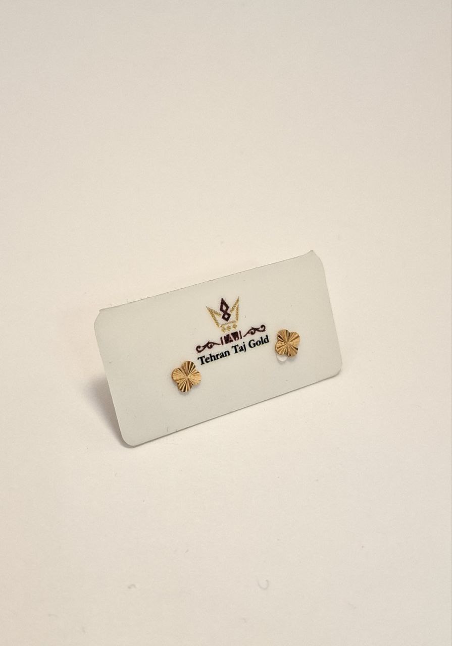 photo_2025-11-22_17-24-21 گوشواره ونکلیف تراش - تصویر 1